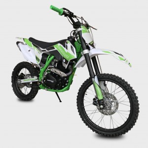 Pitbike MiniRocket Hurricane 250ccm 19x16, zelená